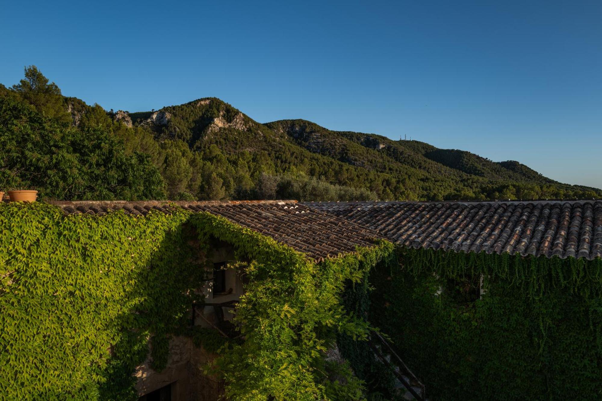 Agroturismo Son Boronat Calvia  Exterior photo